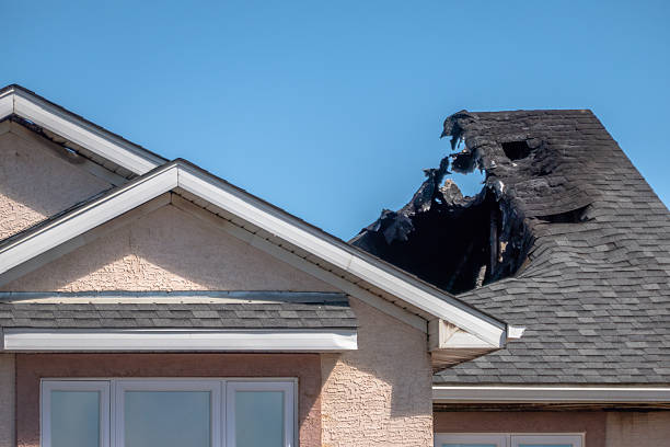 Top rated local Fire Damage Removal specialists in Katy, TX